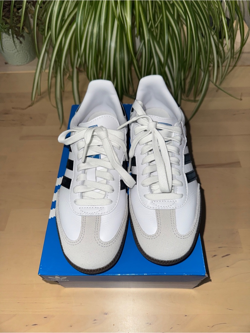 adidas Samba’s Women - Picture 2 of 8
